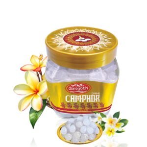 GANGOTRI CHAMPHUR CUBES